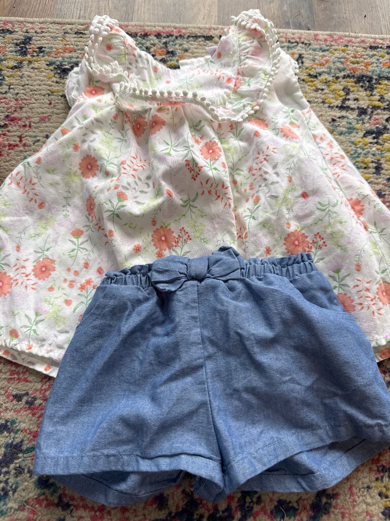 Floral Top and Denim Shorts Set