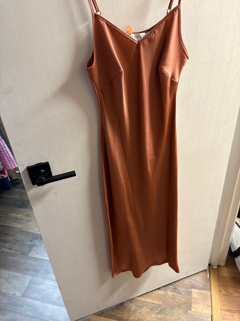 Bishop + Young Rust Satin Slip Dress