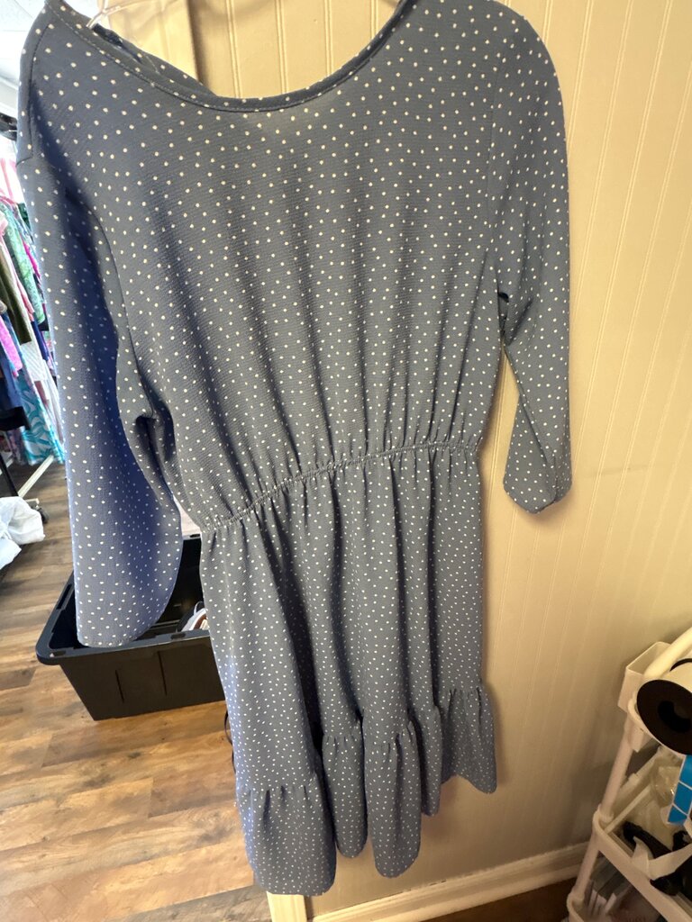 Blue Polka Dot Dress