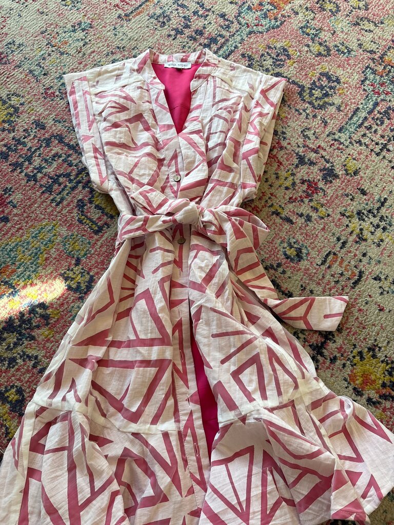 Willa Story Printed Dress