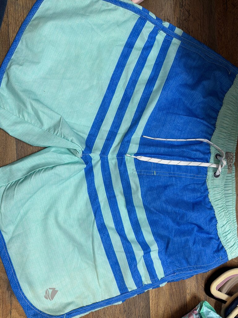 Ocean + Coast Men's Swim Shorts