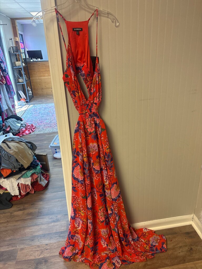Express Floral Maxi Dress