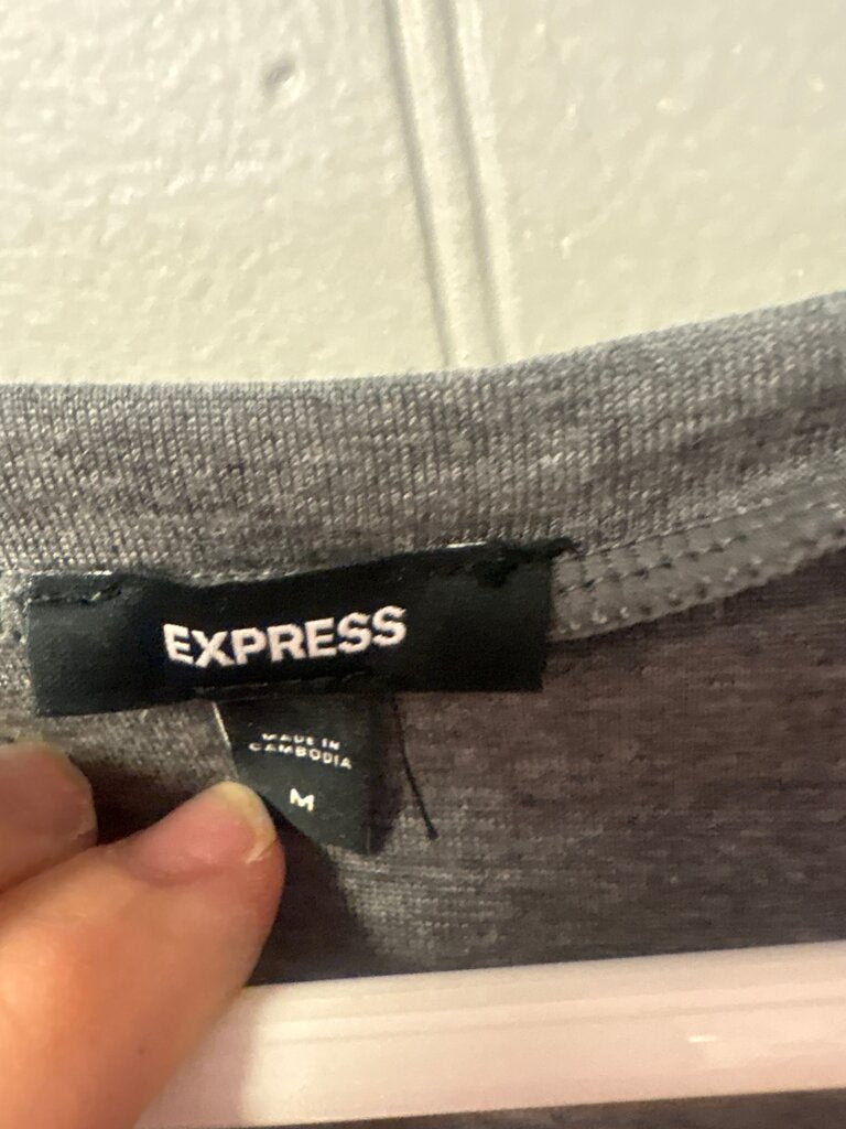 Express Gray V-Neck T-Shirt