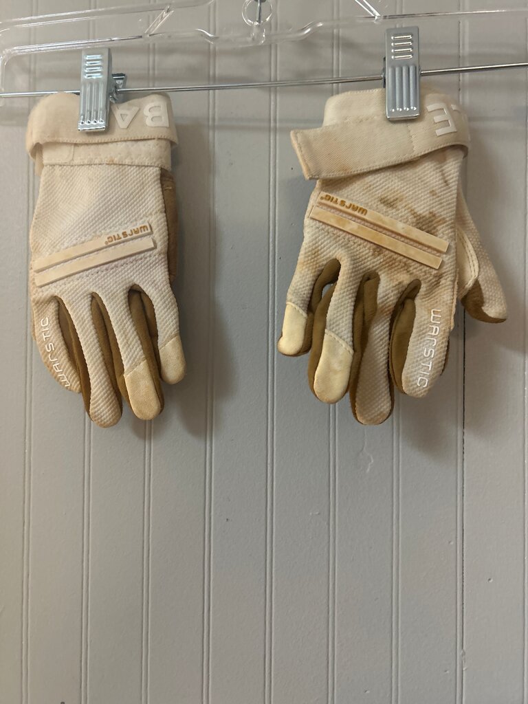 Work Gloves Set