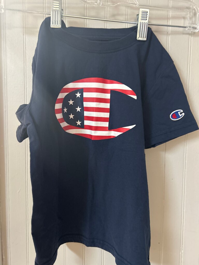 Champion Authentic Athleticwear USA Flag T-Shirt