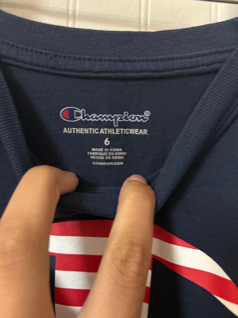 Champion Authentic Athleticwear USA Flag T-Shirt