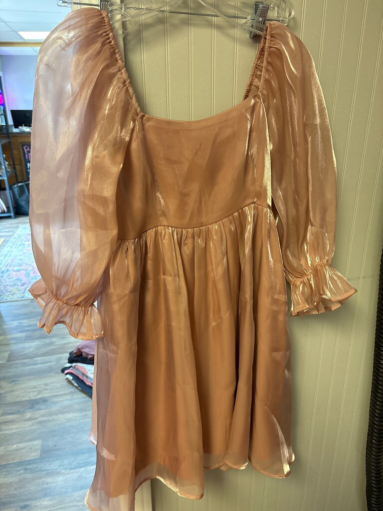 Entro Blush Puff Sleeve Dress