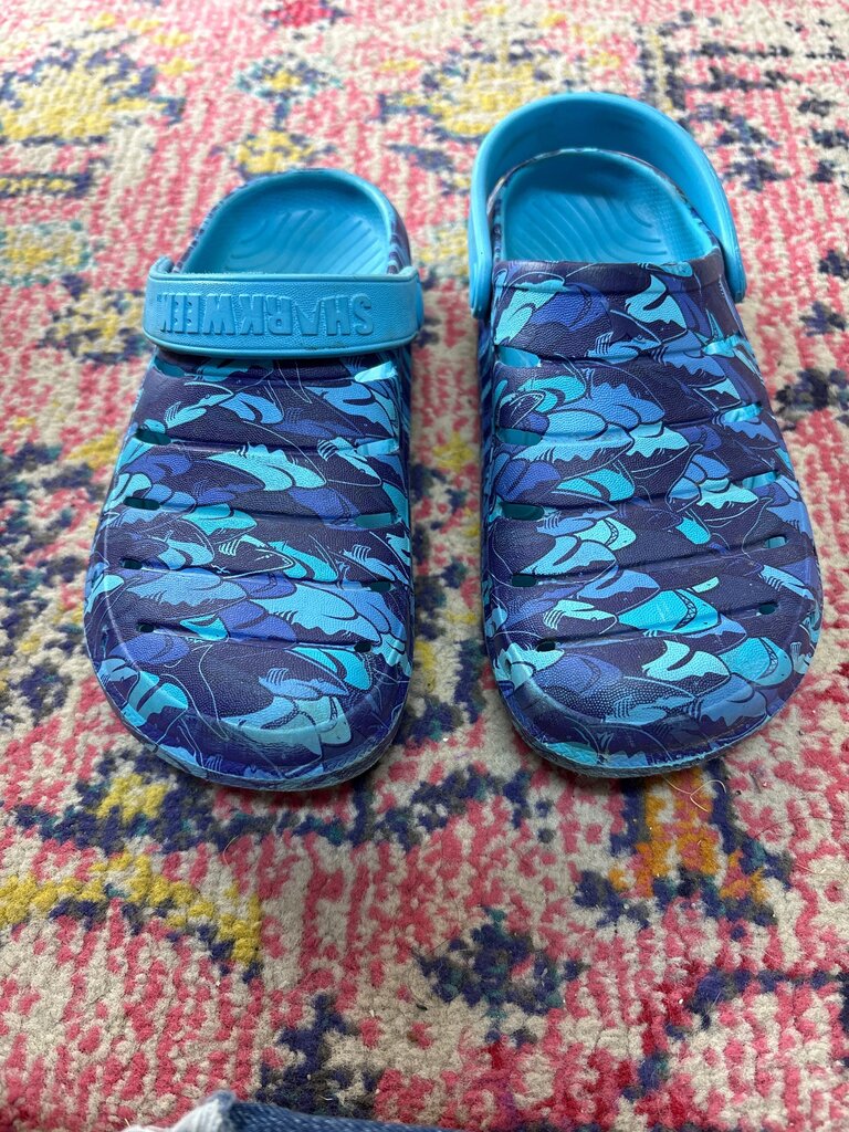Shark Themed Child's