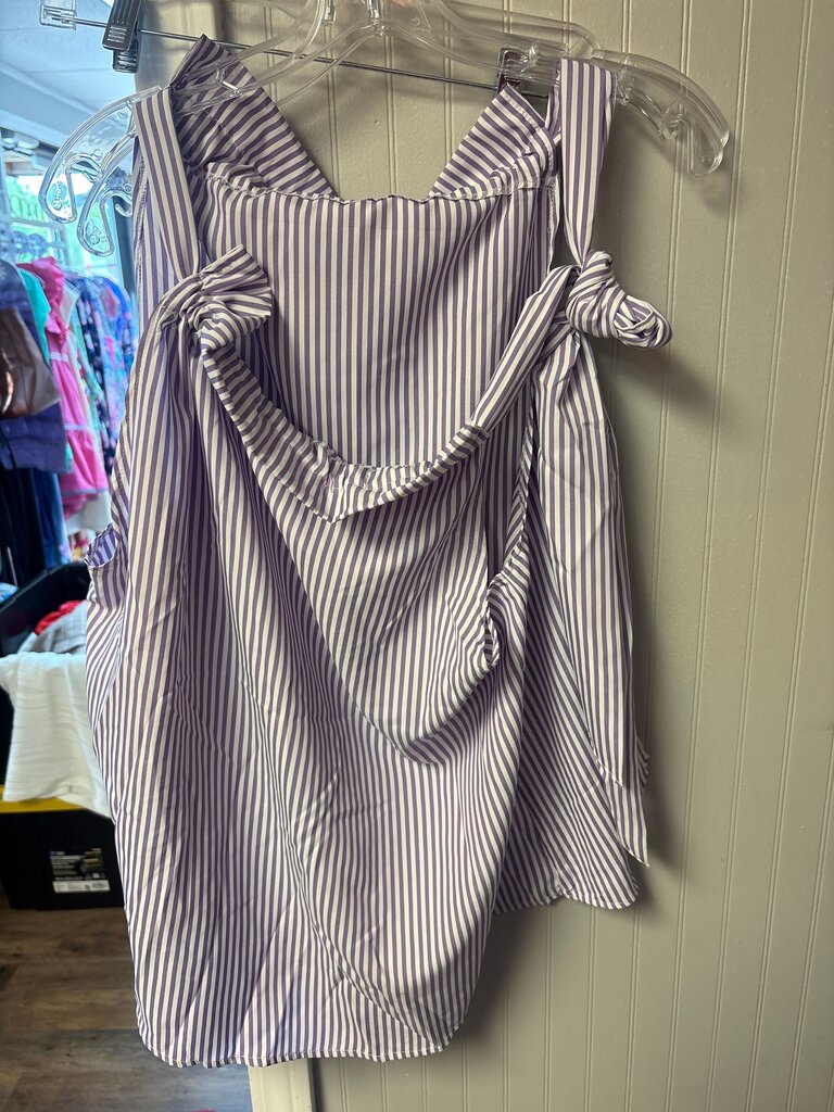 Striped Purple Dress