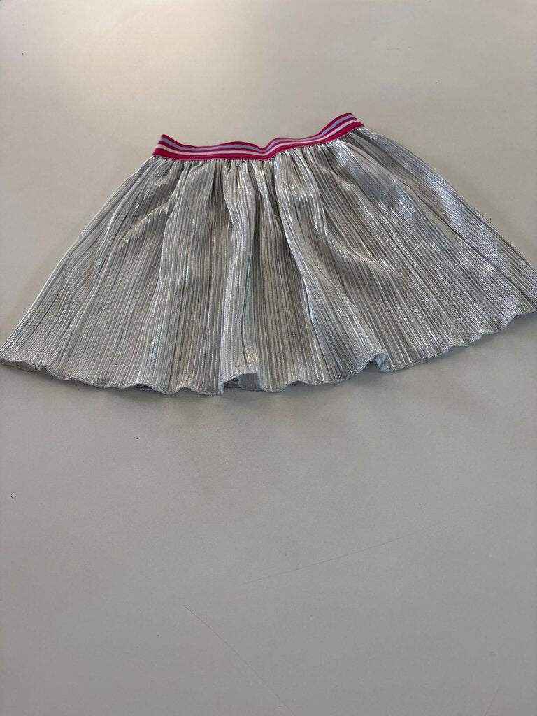 Silver Pleated Skirt with Pink Stripes