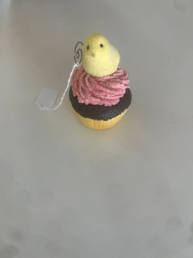 Cute Decorative Cupcake with Yellow Chick
