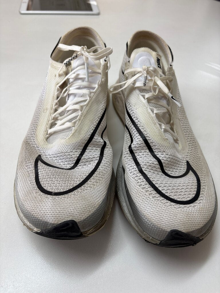 Nike Air Zoom Pegasus 39
