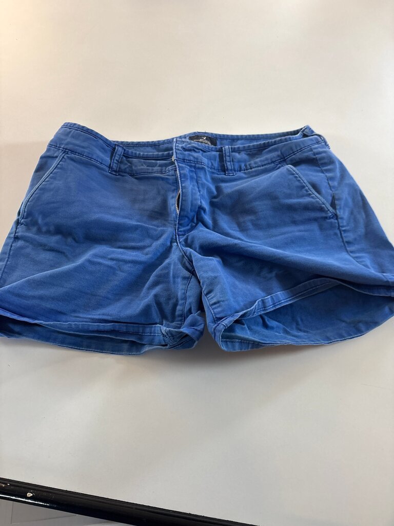American Eagle Outfitters Blue Shorts