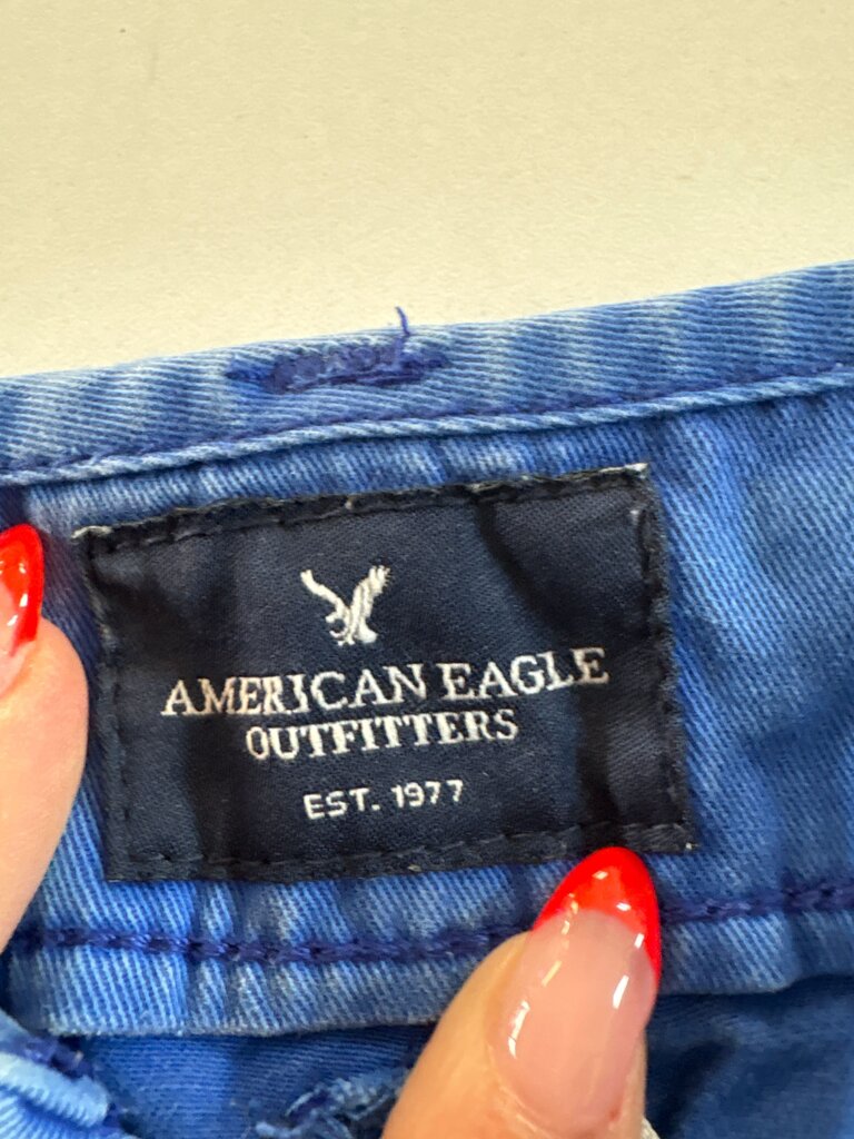 American Eagle Outfitters Blue Shorts