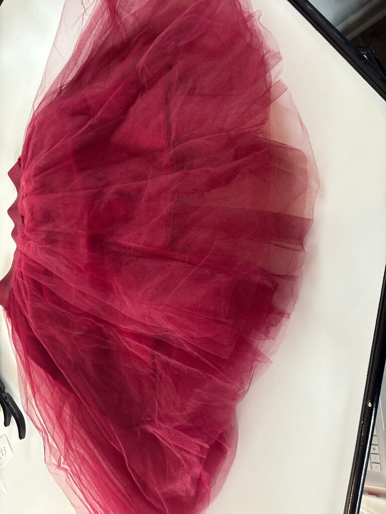 Rue21 Burgundy Tulle Skirt
