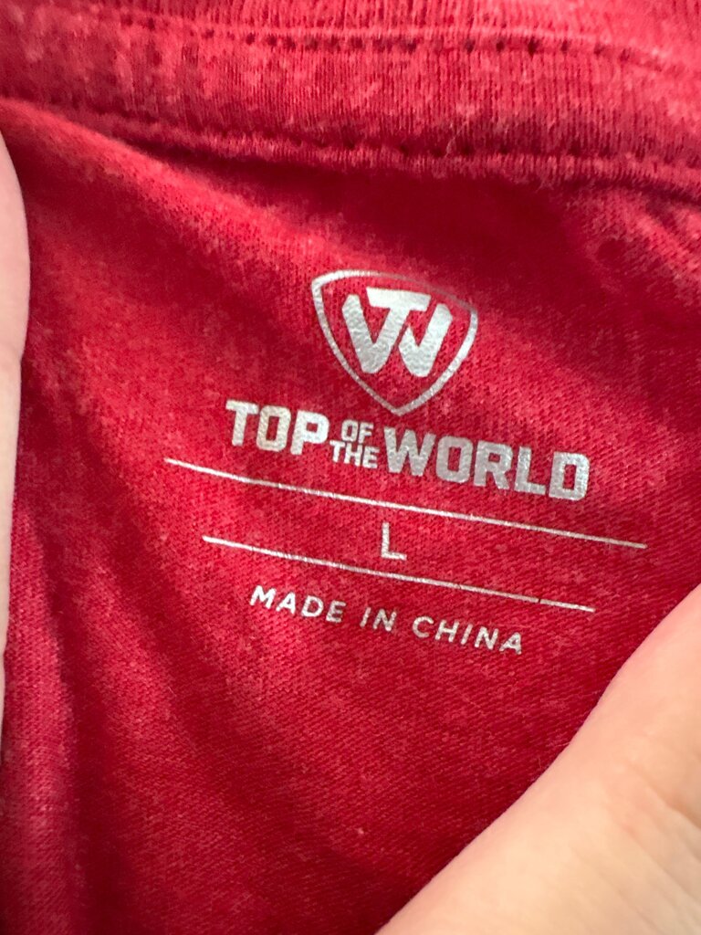 Top of the World Long Sleeve American Flag Shirt