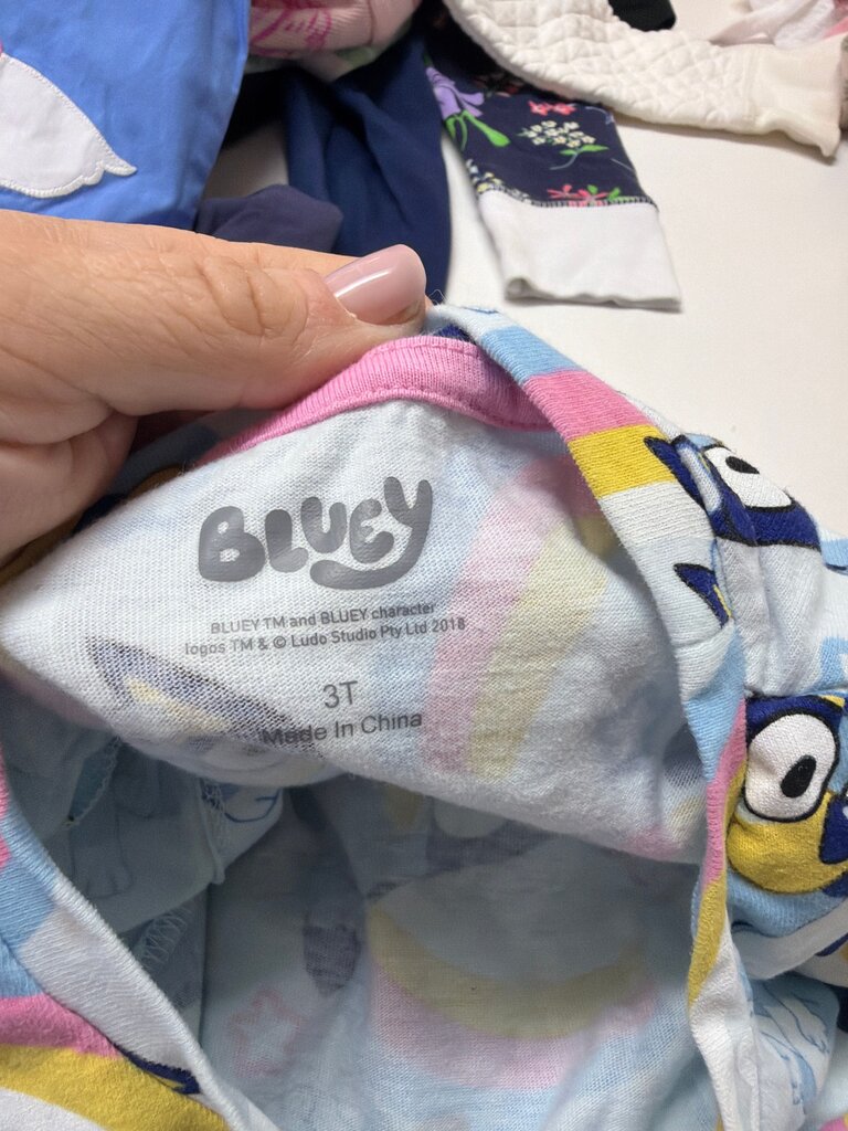 Bluey Character Dress