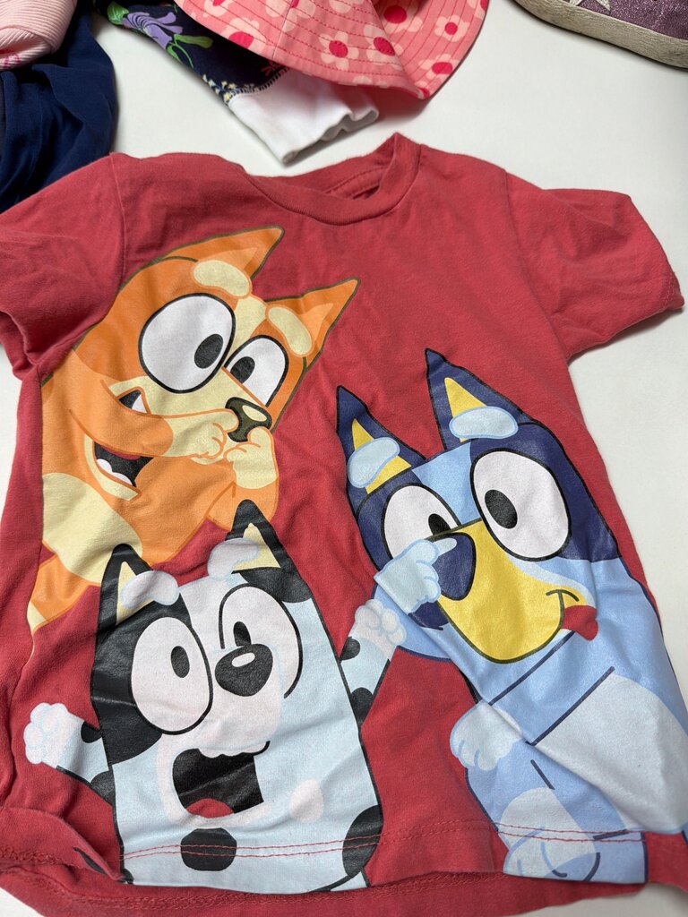 Bluey Character T-Shirt