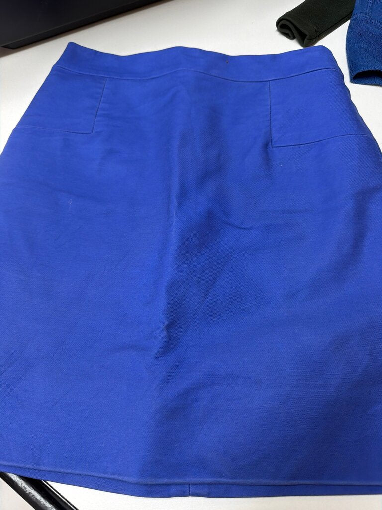 J.Crew Blue Skirt