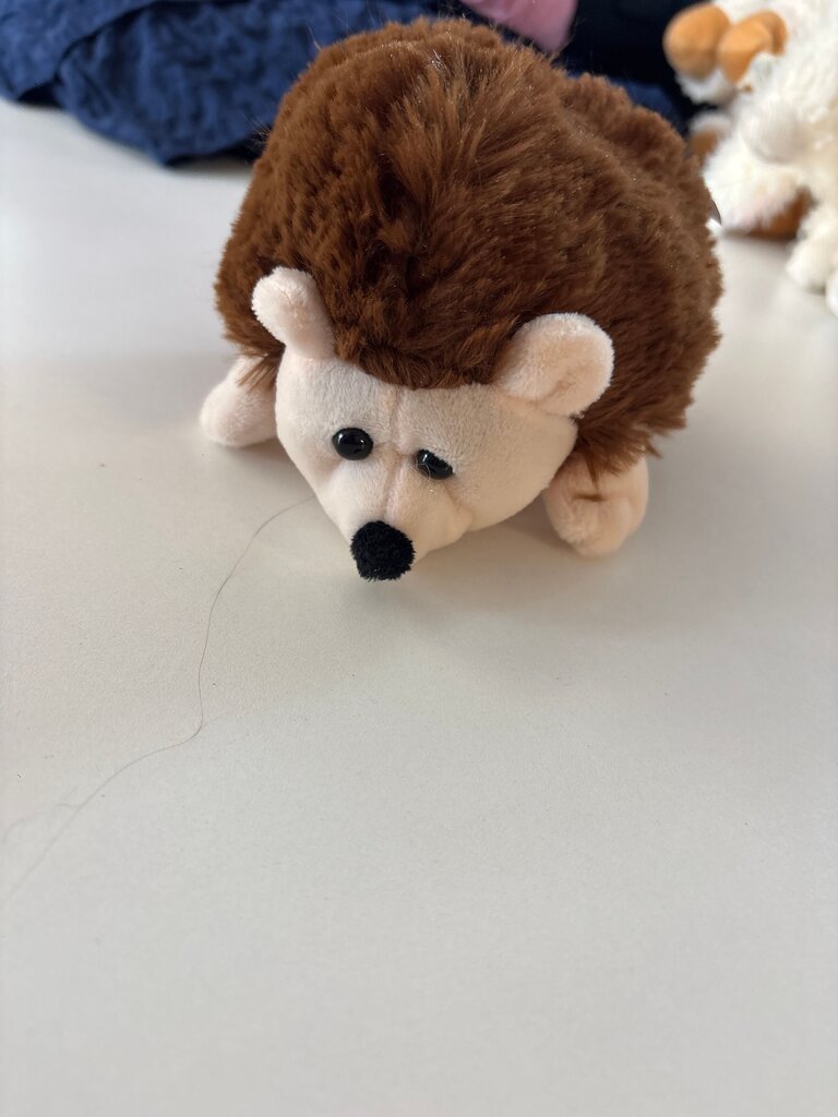 Plush Hedgehog Toy