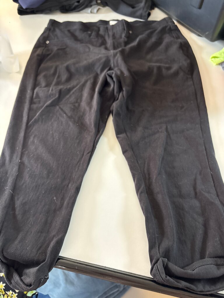 terra & sky Black Stretch Pants