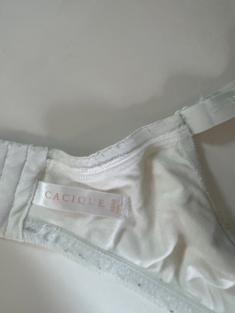 Cacique Women's White Bra 42DD