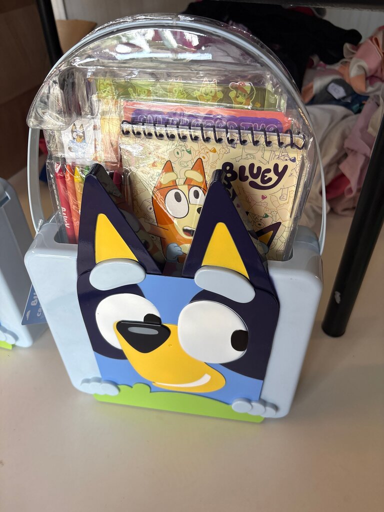 Bluey Themed Activity Set