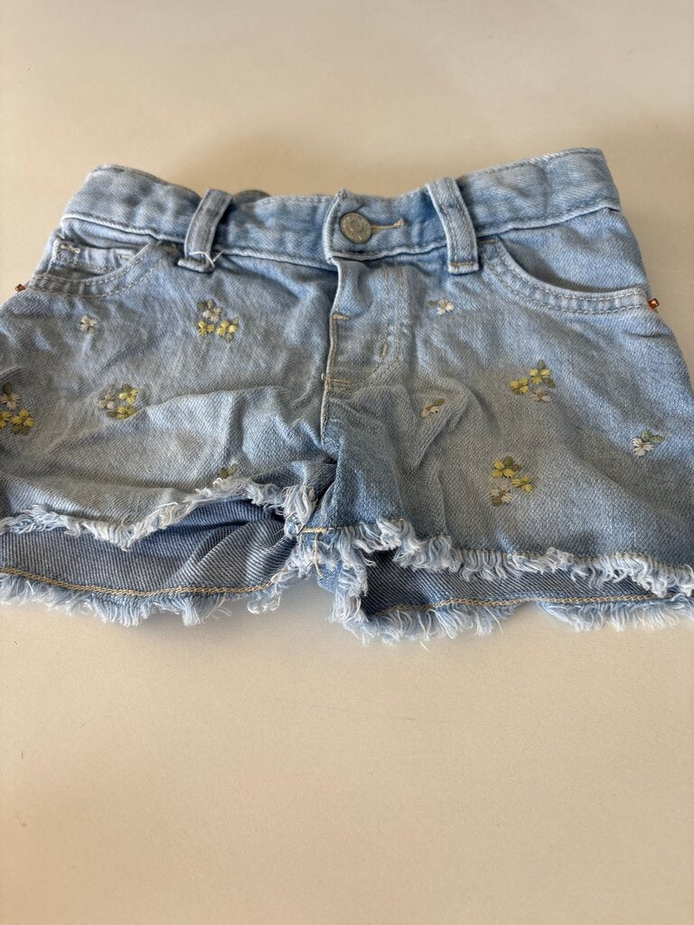 Cut & Jack Girls' Denim Shorts with Floral Embroidery