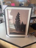 Framed Art Print of Trees