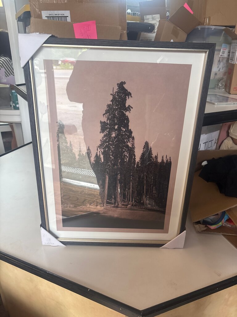 Framed Art Print of Trees