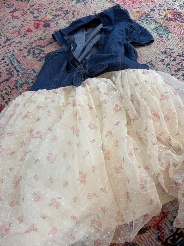 Lilt Denim and Tulle Dress
