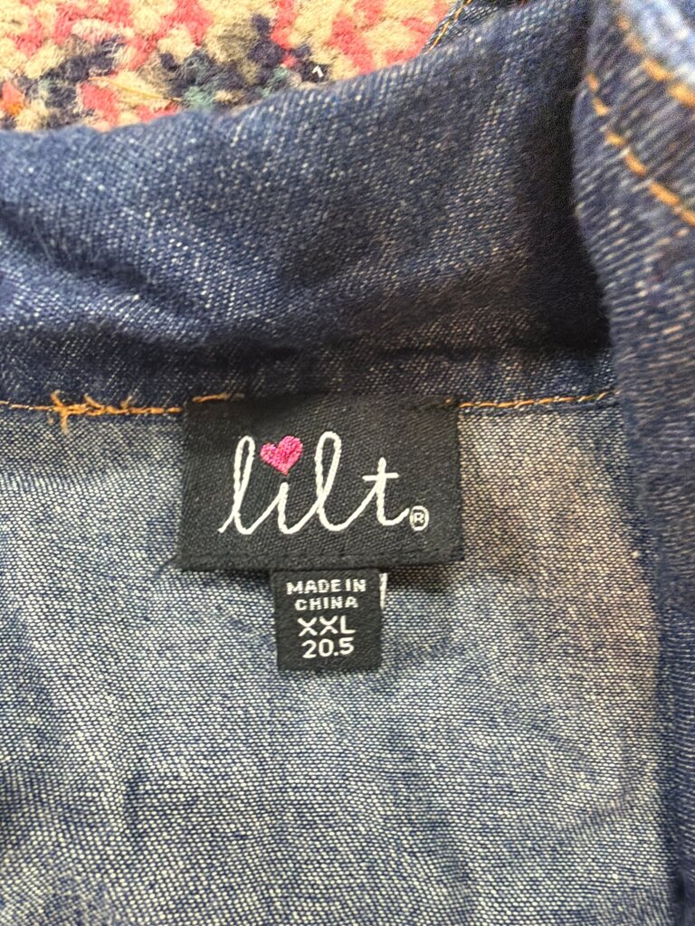 Lilt Denim and Tulle Dress