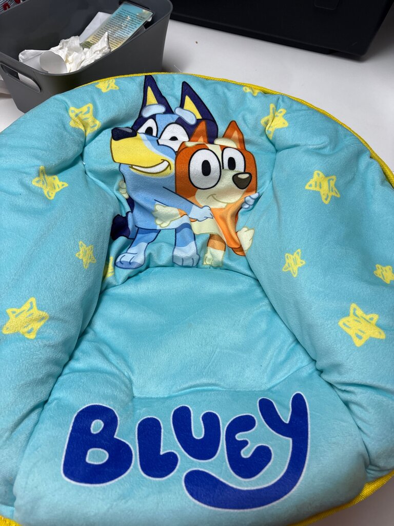 Bluey Character Plush Chair