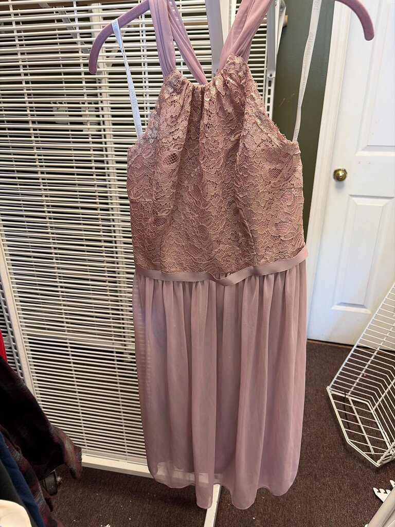 David's Bridal Pink Lace Dress
