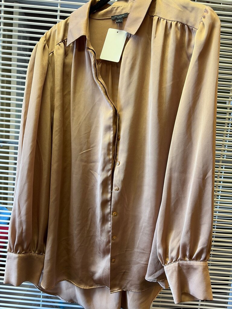 Ann Taylor Factory Silk Blouse