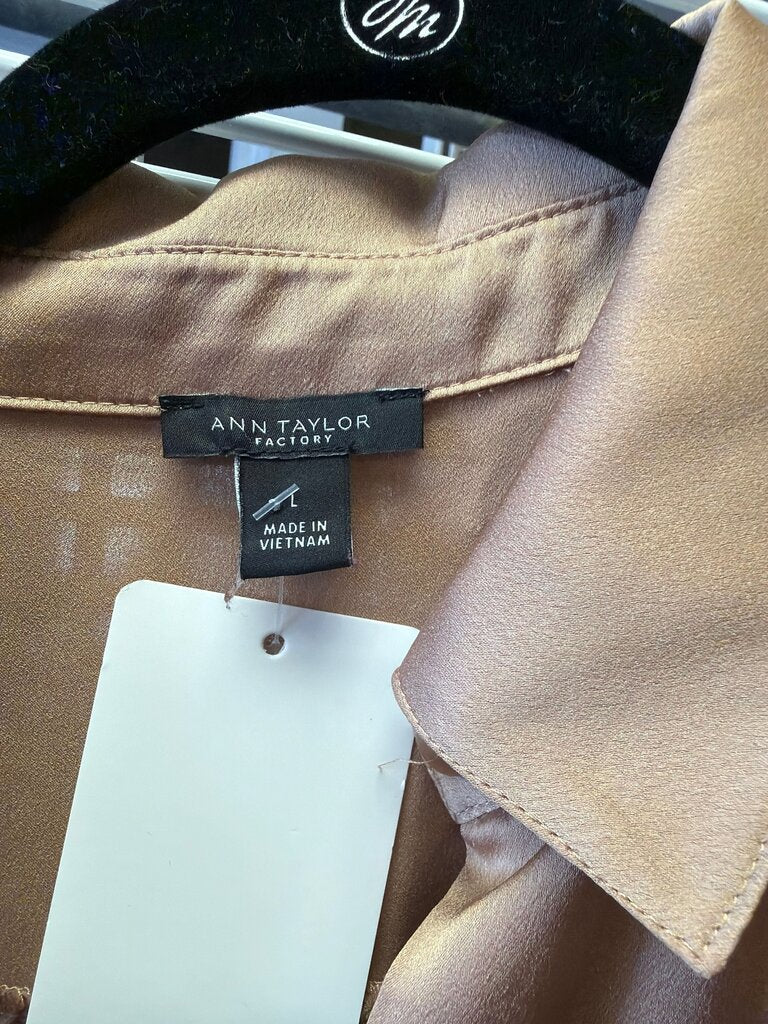Ann Taylor Factory Silk Blouse