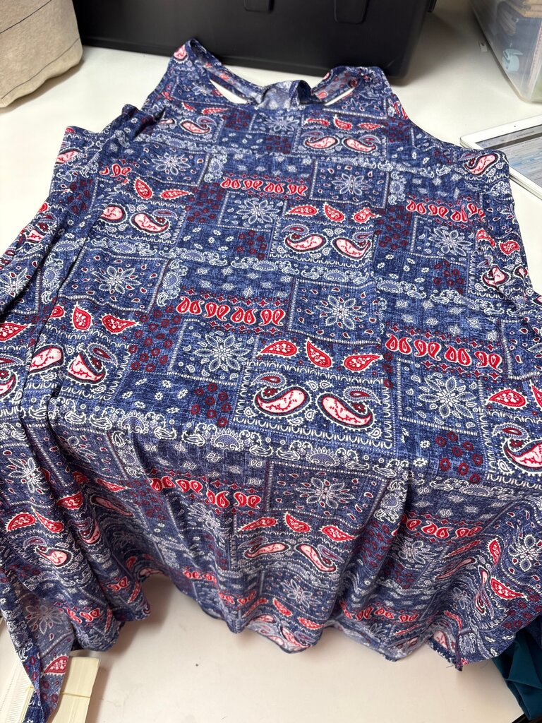 Women's Plus Size Paisley Print Dress