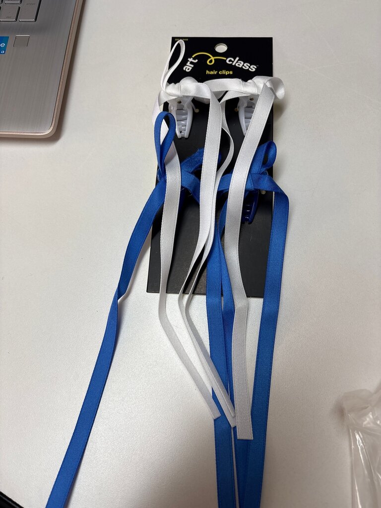 Art Class Hair Clips Set