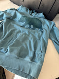 The North Face Blue Bear Graphic Hoodie