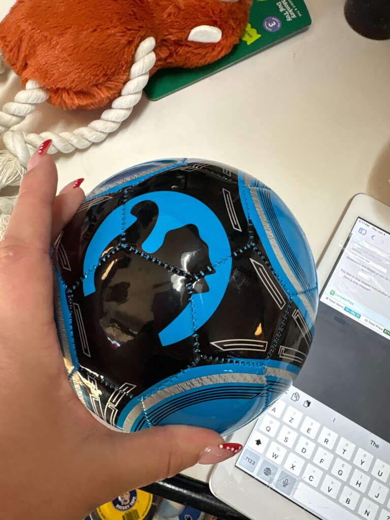 Soccer Ball with Blue and Black Design