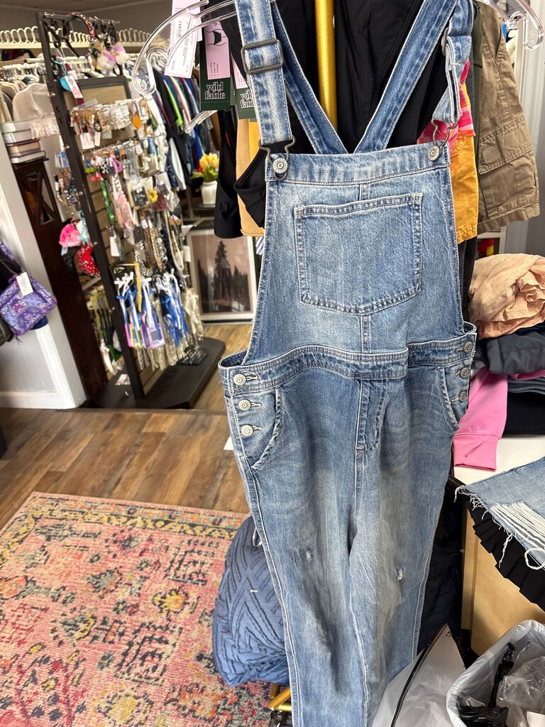 Denim Overalls