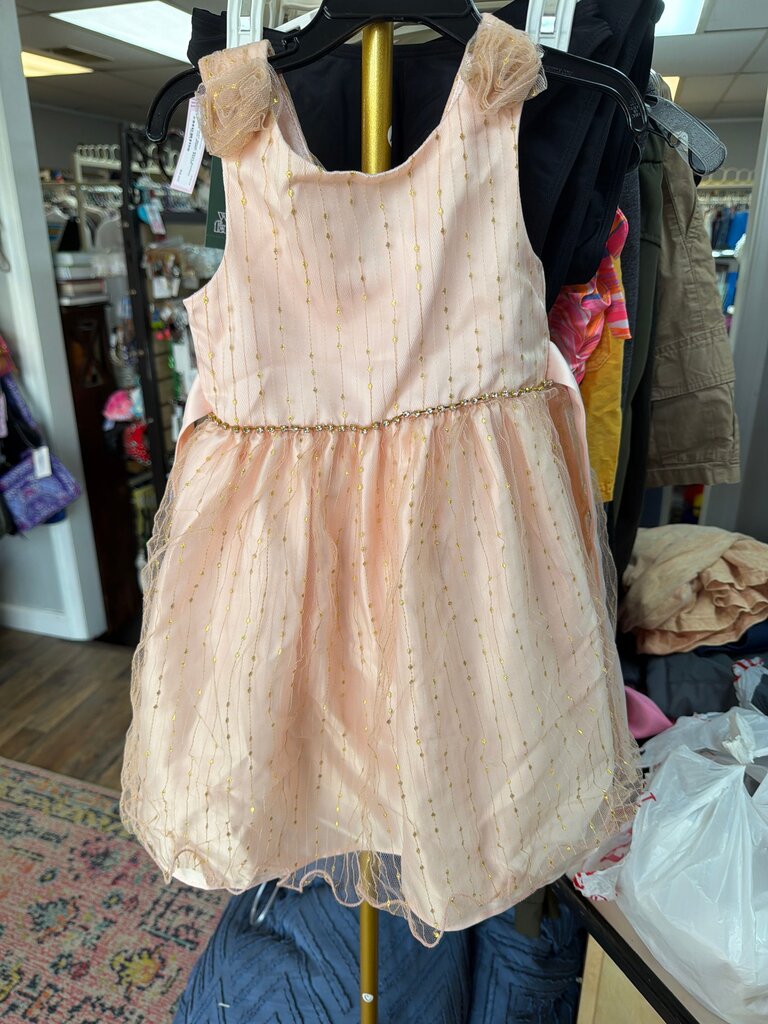 Girls' Pink Occasion Dress with Gold Accents