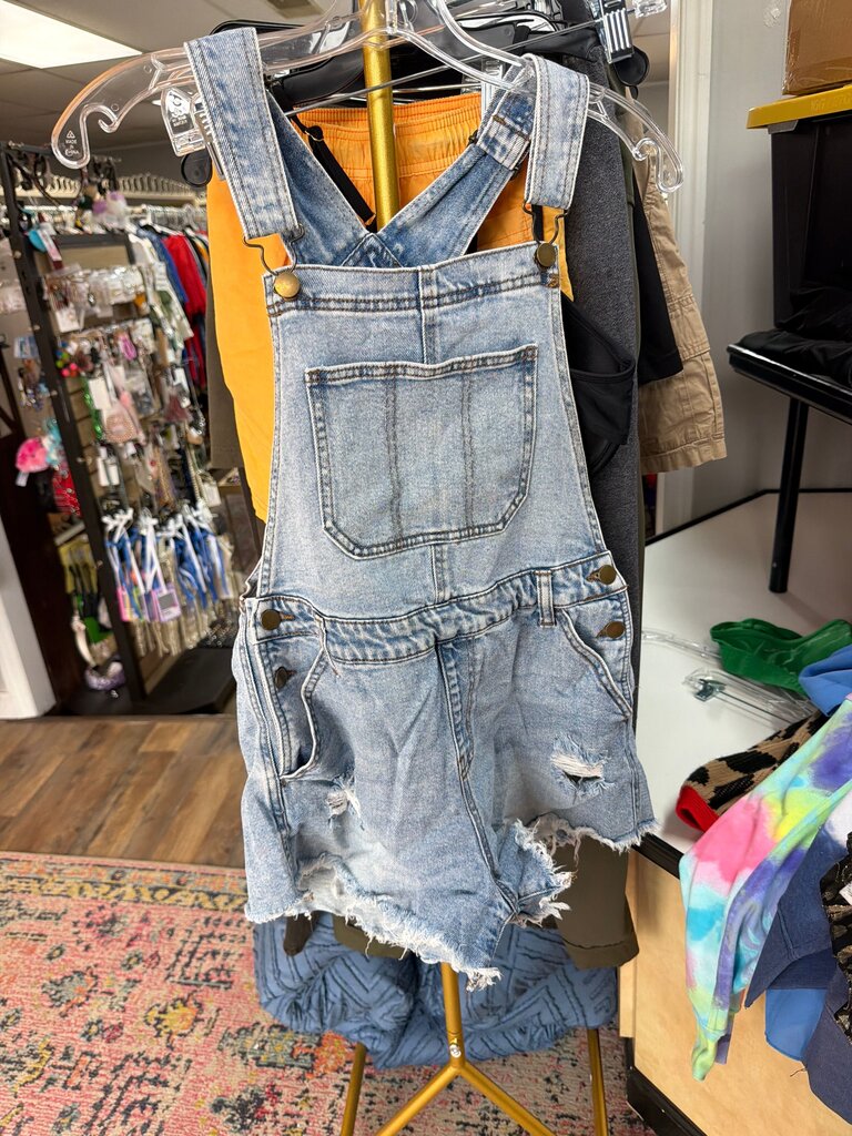 Wild Fable Denim Overalls
