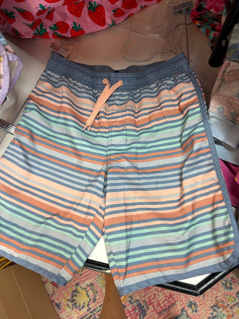 Striped Swim Trunks