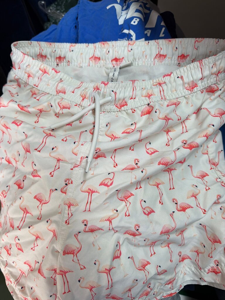 Flamingo Print Swim Trunks