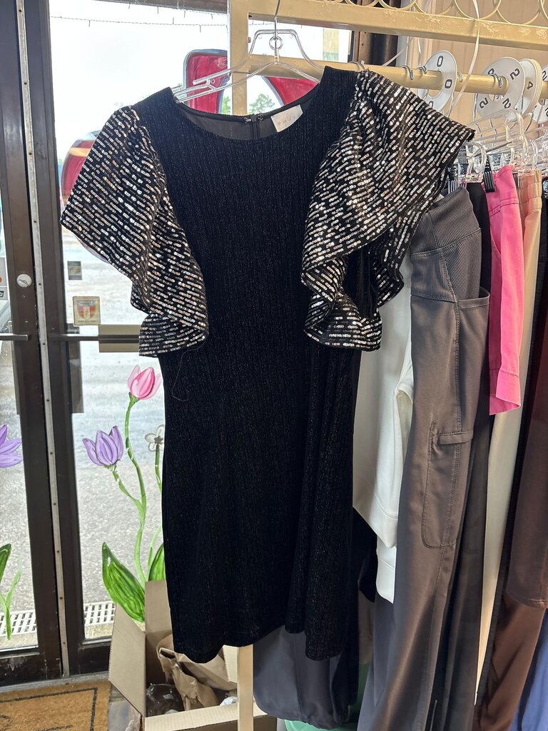 Endsa Black Dress with Sequin Sleeves