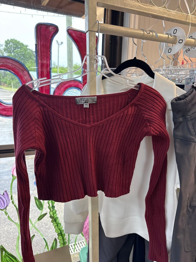 Blue Blush Ribbed Long Sleeve Crop Top