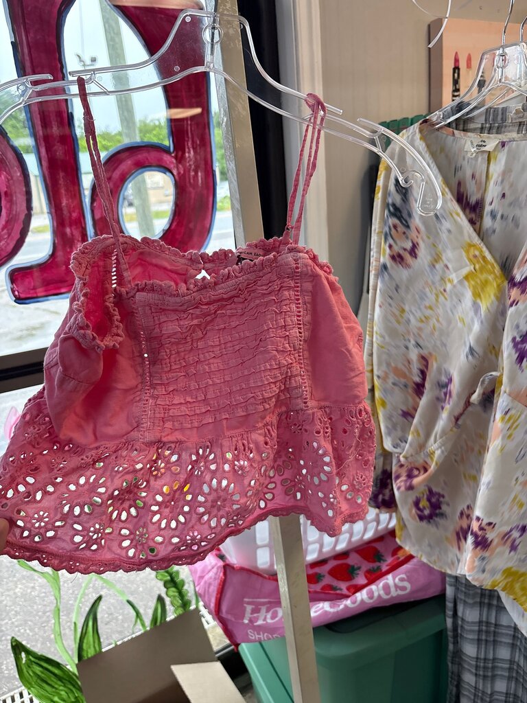 American Eagle Pink Smocked Crop Top