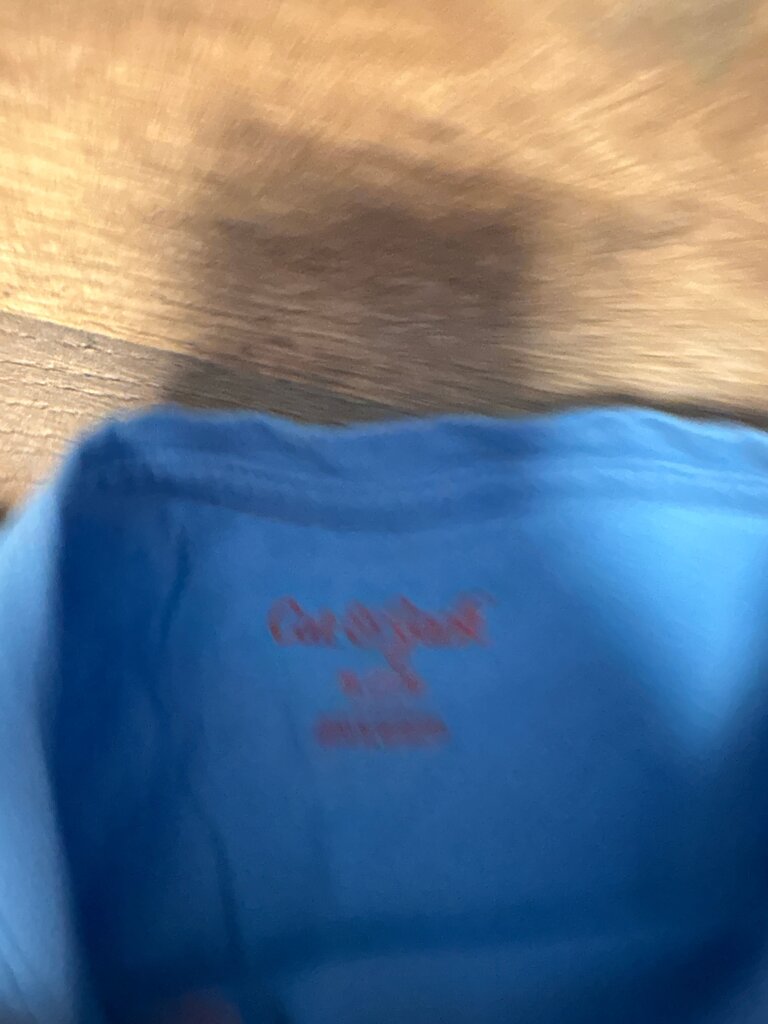 Long Sleeve Blue Graphic T-Shirt