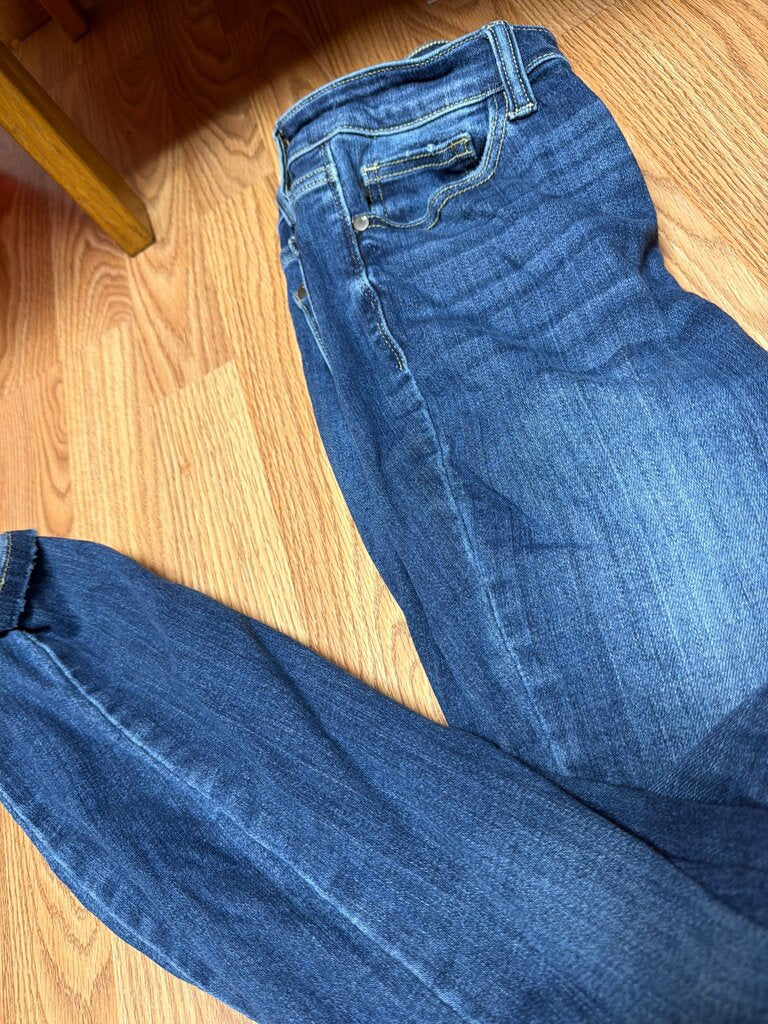 Judy Blue Skinny Jeans